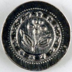 Forget me not Colonial pewter button 3/4 inch