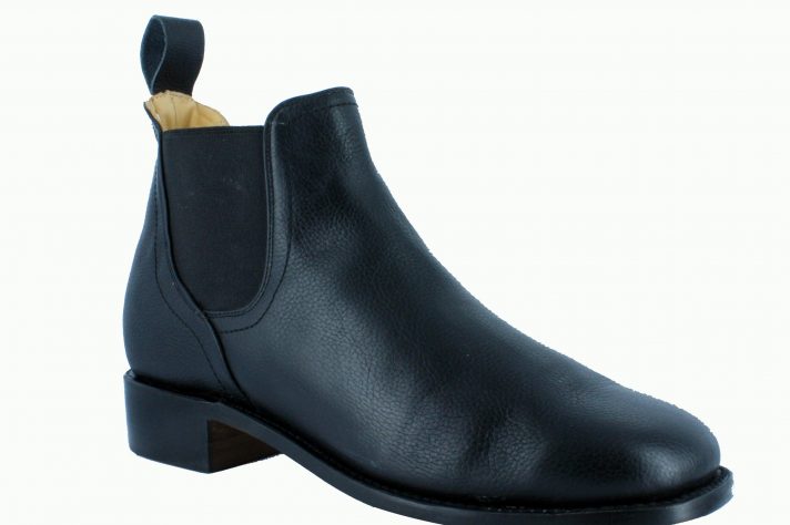 New Gator_800_01 New Gator_800_01