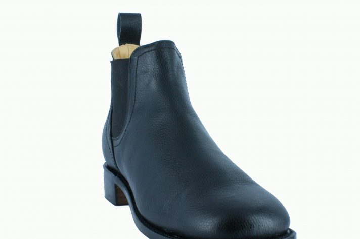 New Gator_800_03 New Gator_800_03