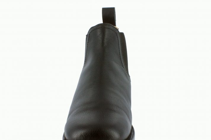 New Gator_800_05 New Gator_800_05