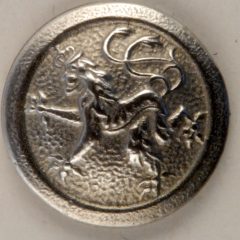Rampant Lion Pewter Button, 169