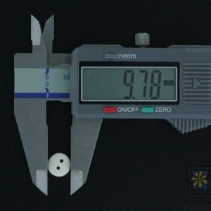 189 Bone 2 hole Button