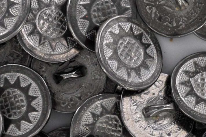 Close up Sunflower buttons