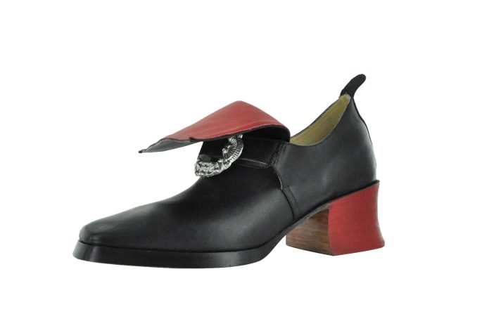 King Louis XIV shoe