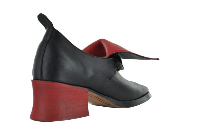 King Louis XIV shoe