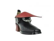 King Louis XIV shoe