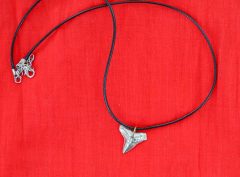 Shark tooth necklace