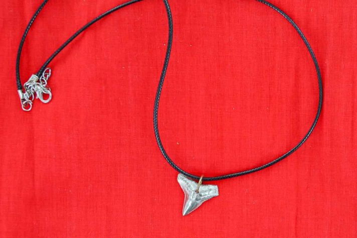 Leather shark on sale tooth necklace