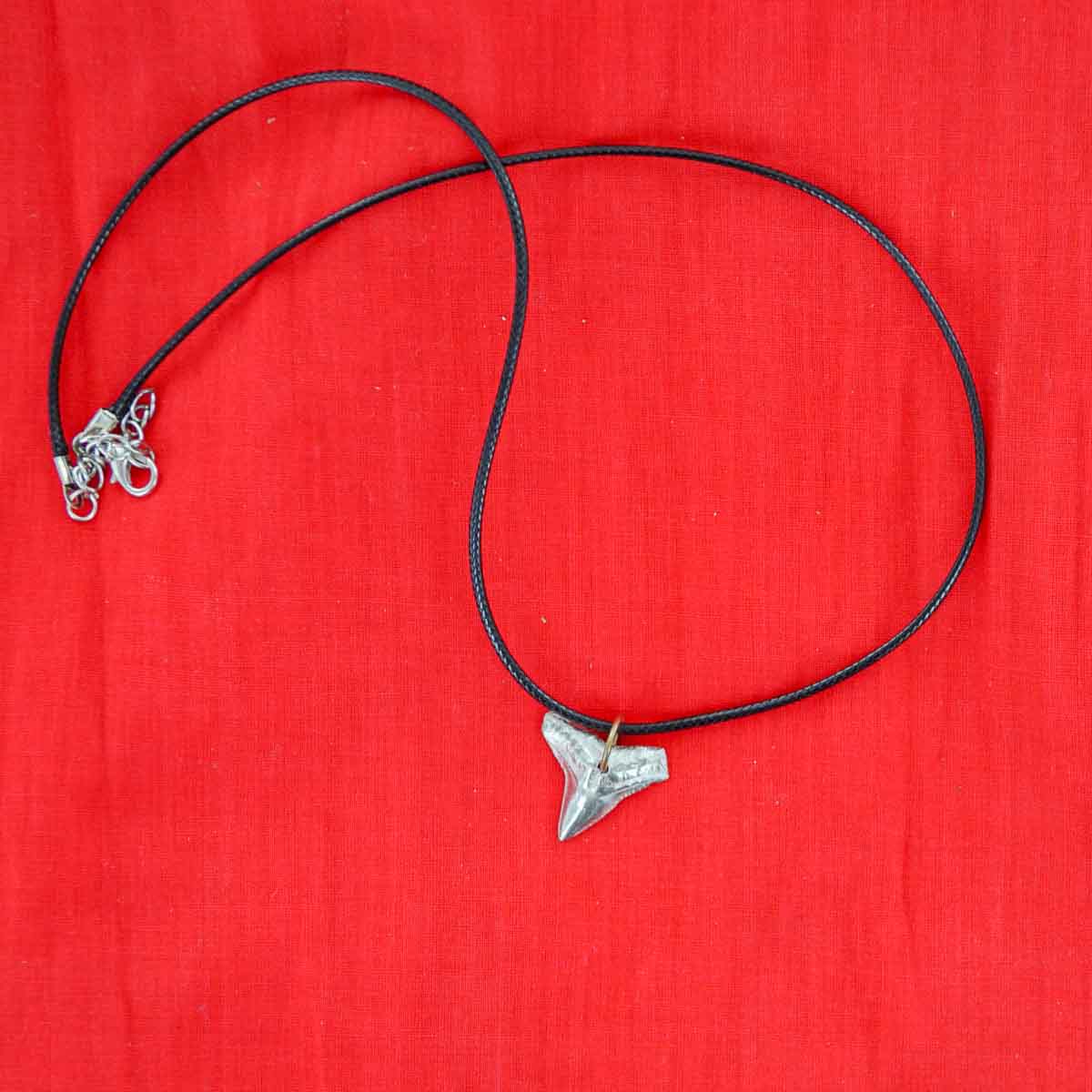 Shark Tooth Necklace, Wishbone Charm Necklace ,Wish Bone Good Luck Pendant  necklace, Double Horn Nec… | Shark tooth necklace, Tooth necklace, Double  horn necklace