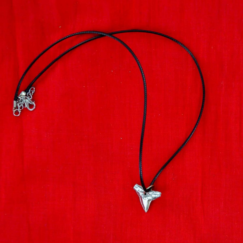 Shark Tooth Necklace. Hand made in the USA | Fugawee