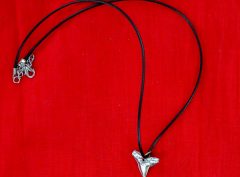 Shark tooth necklace