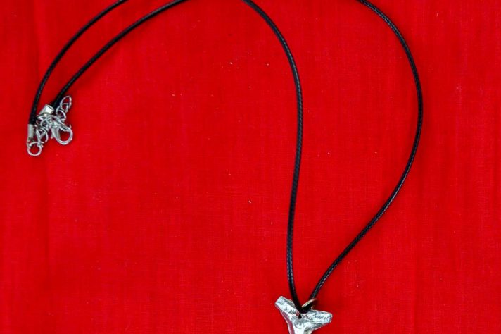 Shark tooth necklace